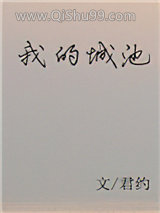 我的城池