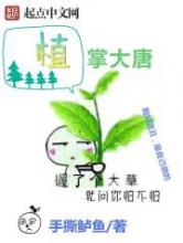 植掌大唐