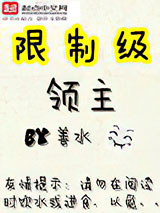 限制级领主