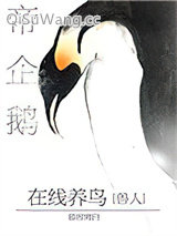 帝企鹅在线养鸟