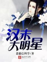 汉末大明星