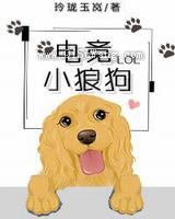 电竞小狼狗