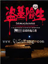 盗墓险生
