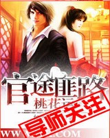 官场布衣(官途匪路桃花运)