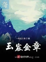玉宸金章