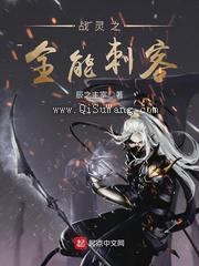 战灵之全能刺客
