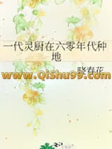 一代灵厨在六零年代种地