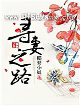 寻妻之路