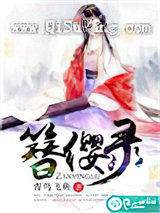簪缨录