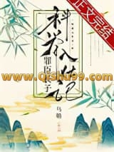 罪臣长子科举入仕记