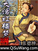 大话红楼梦