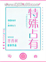 特殊占有