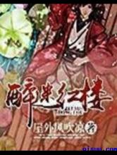 醉迷红楼