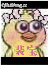 裴宝