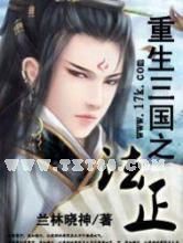 重生三国之法正