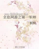 全息网游之第一军师