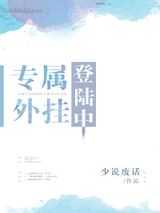 专属外挂登录中