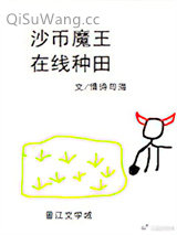 沙币魔王，在线种田