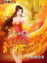 圣女的终极护卫