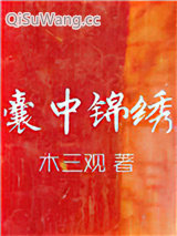 囊中锦绣