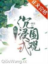 红楼沉浸式围观