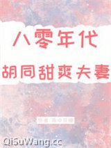 八零年代胡同甜爽夫妻