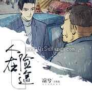 人在险途