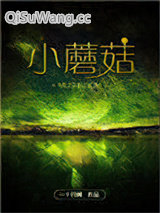 小蘑菇