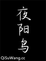 夜阳鸟