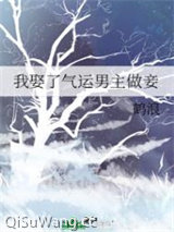 我娶了气运男主做妾