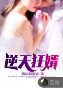 逆天狂婿