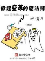 掀起变革的魔法师