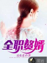 全职赘婿