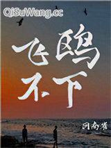 飞鸥不下