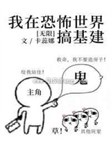 我在无限游戏搞基建