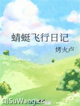 蜻蜓飞行日记