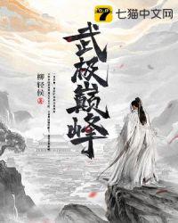 武极巅峰