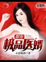 都市极品医婿