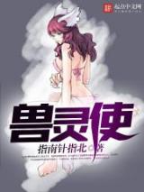 兽灵使