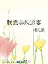 朕靠美貌追妻