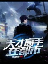 天才高手在都市