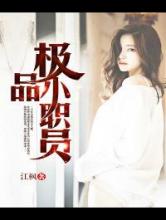 极品小职员