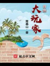自然大玩家