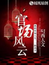 官场风云