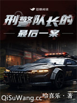 刑警队长的最后一案