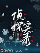 侦探实录