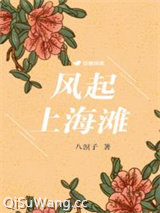 风起上海滩