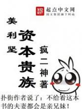 美利坚资本贵族