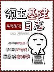 领主基建日志