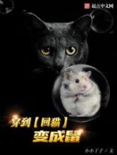 穿到回猫变成鼠